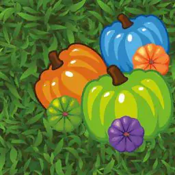 Color Pumpkin Match