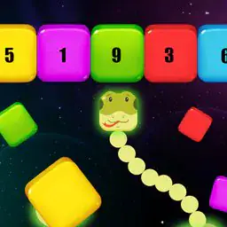 Snake, Blocks and Numbers