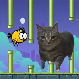 Flappy Bird Spinning oia oia Cat