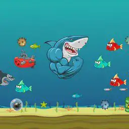 Crazy Shark