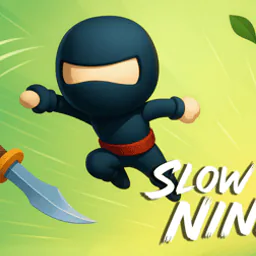Slow Time Ninja