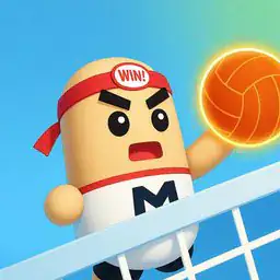 Amazing Volleyball