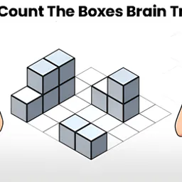 Try To Count The Boxes Brain Training