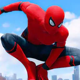 Spiderman Fighter