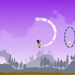 Stunt Plane