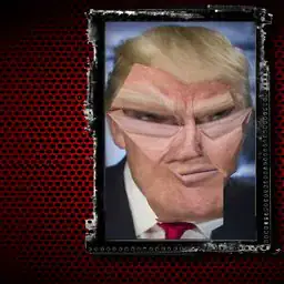 Trump Funny Face