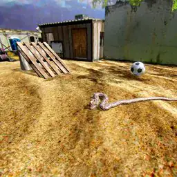 Python Snake Simulator