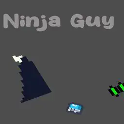 Ninja Guy