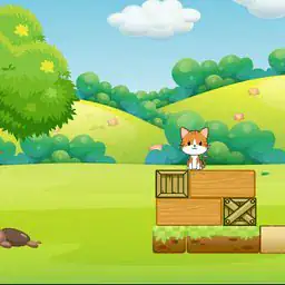 Cat Drop