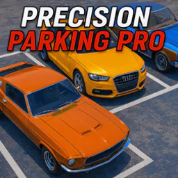 Precision Parking Pro