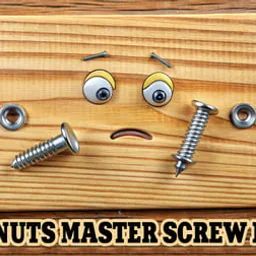 Wood Nuts Master: Screw Puzzle
