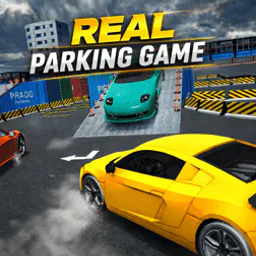 Real Parking Game