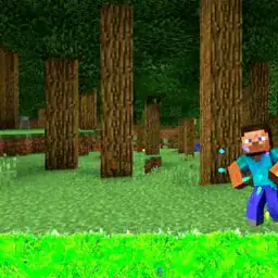 Minecraft World Adventure