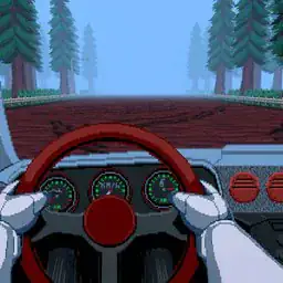 rally drifting