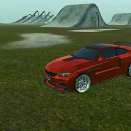Crazy Car Arena