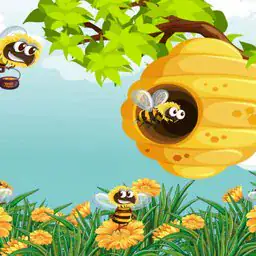 Honey Collector Bee