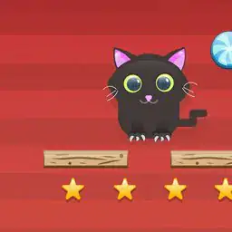 Cut For Cat Challenge