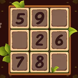 Sudoku - Number Games