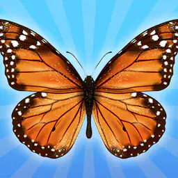 MergeButerfly