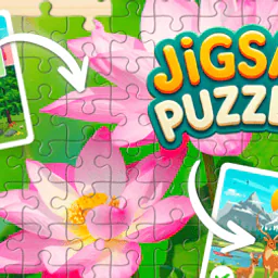 Jigsaw Puzzles