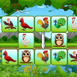 Birds Link