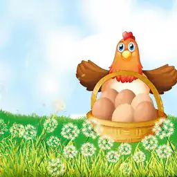 Egg collector