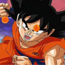 Dragon Ball Find them all