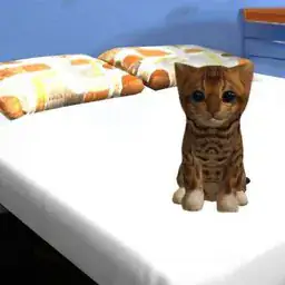 Cat Simulator